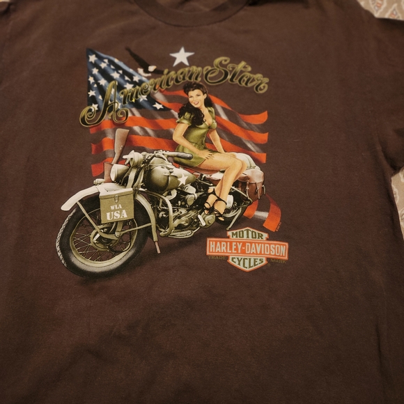 Harley-Davidson Brown Graphic T-Shirt for Men - Picture 2 of 5